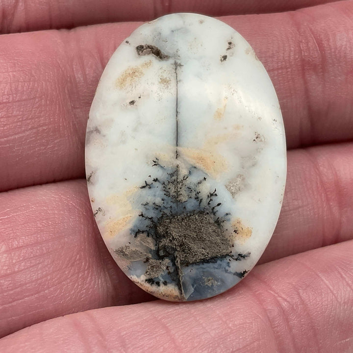 White Dendritic Opal Cabochons