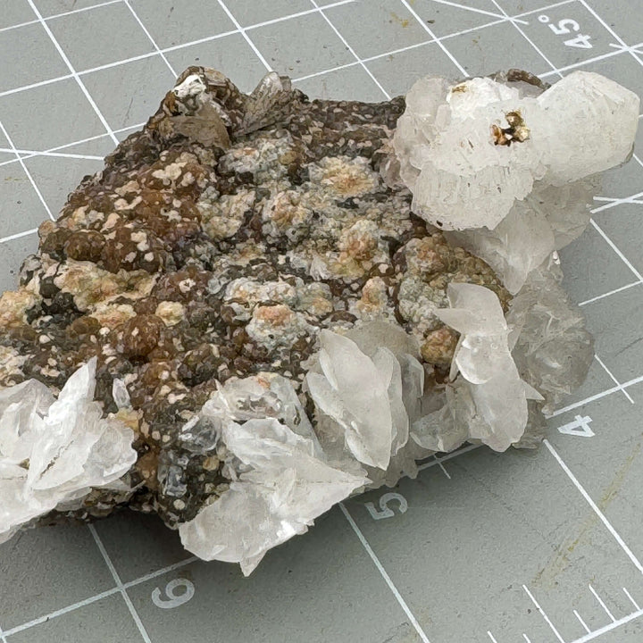 "Mouse Ear" Calcite - Mexico