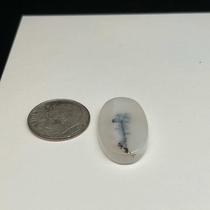 White Dendritic Opal Cabochons