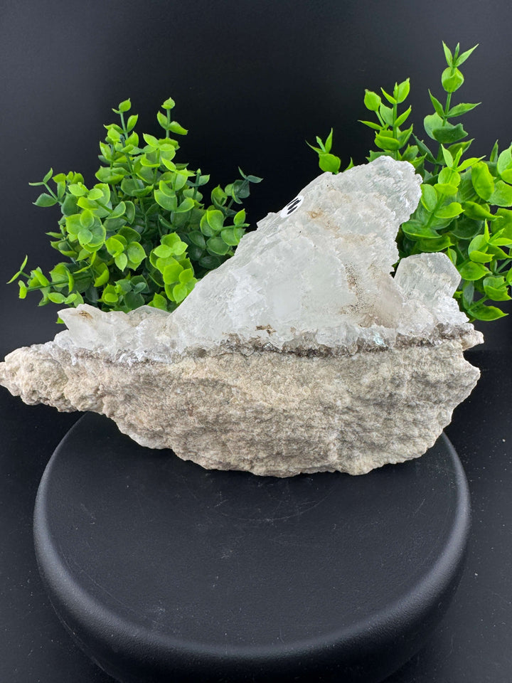 "Fishtail" Selenite /  Gypsum Specimen - Sierra Mojada, Mexico