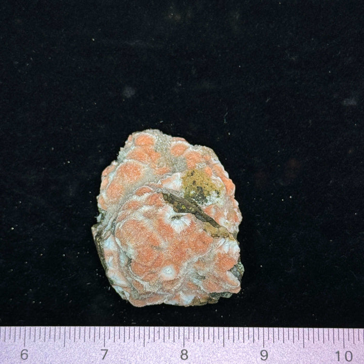 Thomsonite Specimen, India