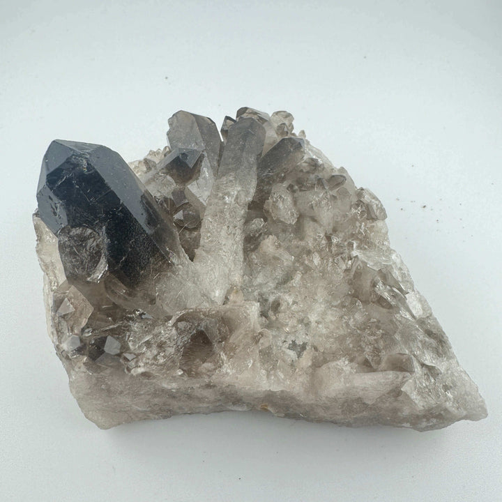 Smokey Quartz Cluster