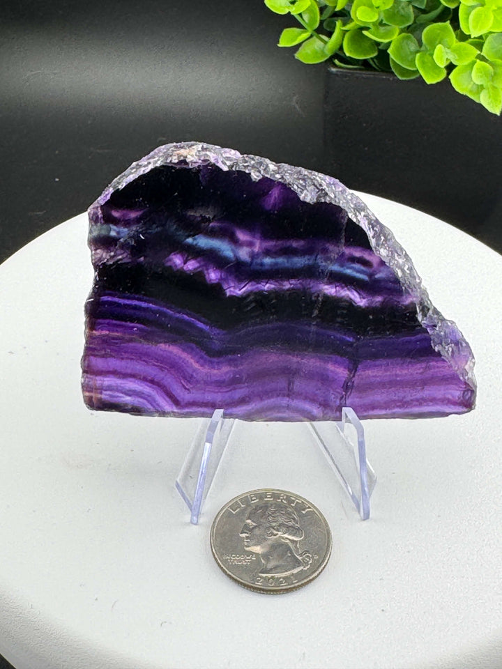 Beautiful mix of Rainbow Fluorite slabs from China. Wonderful mix of purples, blues, teals, and other colors in between! Some pieces have natural crack line formations. Some slabs have a varying thickness, as specified below. A) 4in x 2.5in x 9mm B) 3.25i