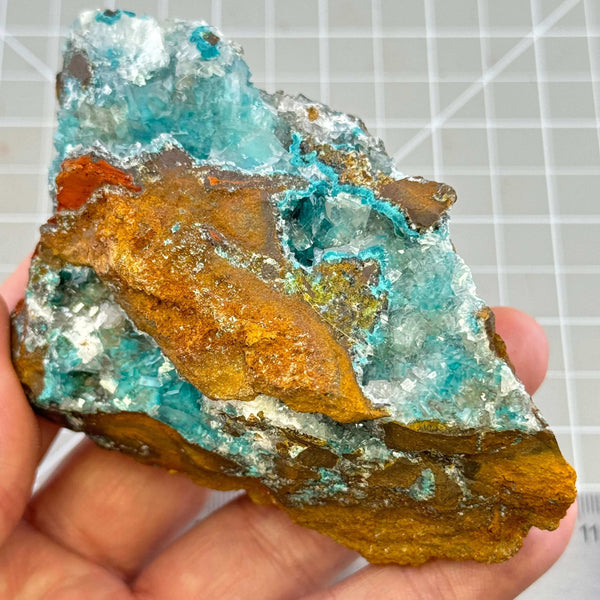 Rosasite Aurichalcite Specimen - Mexico