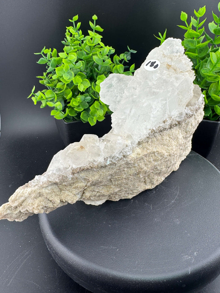 "Fishtail" Selenite /  Gypsum Specimen - Sierra Mojada, Mexico