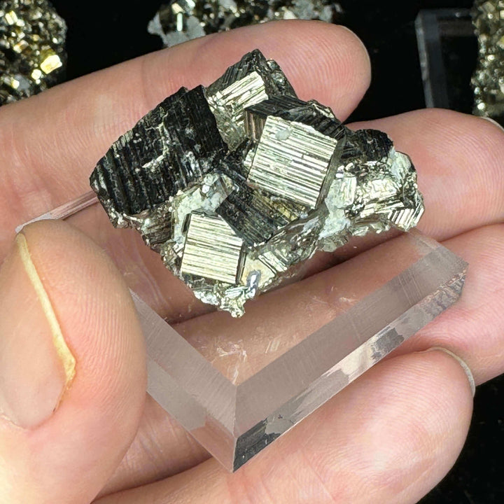 Pyrite with Calcite w/display stand - Mexico