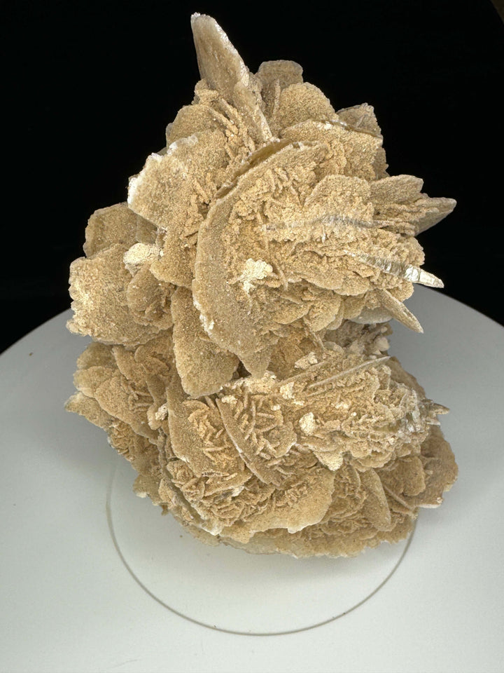 Sand Selenite Desert Rose Gypsum - Mexico
