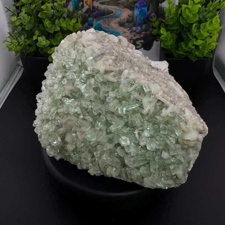 Apophyllite w/ Stilbite Specimen - India