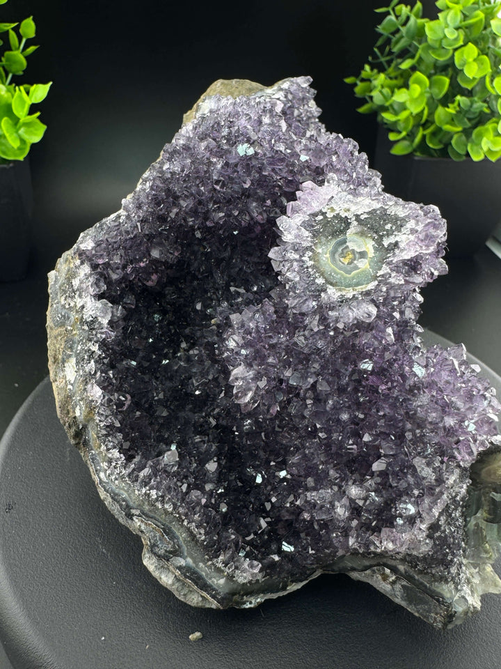 Amethyst Cluster - Uruguay