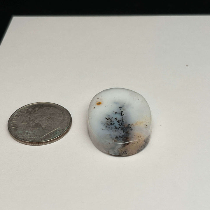 White Dendritic Opal Cabochons