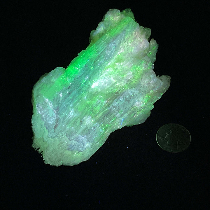 "Rams Horn" Selenite Gypsum Specimen w/ Novacekite  (330g)