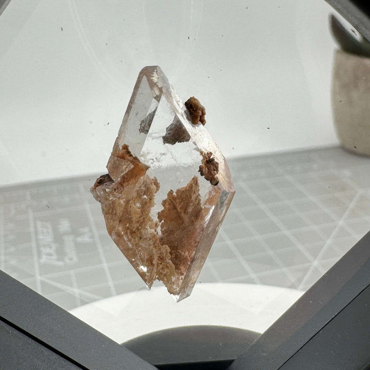 Bermejillo Selenite Specimen Thumbnail - Durango, MX