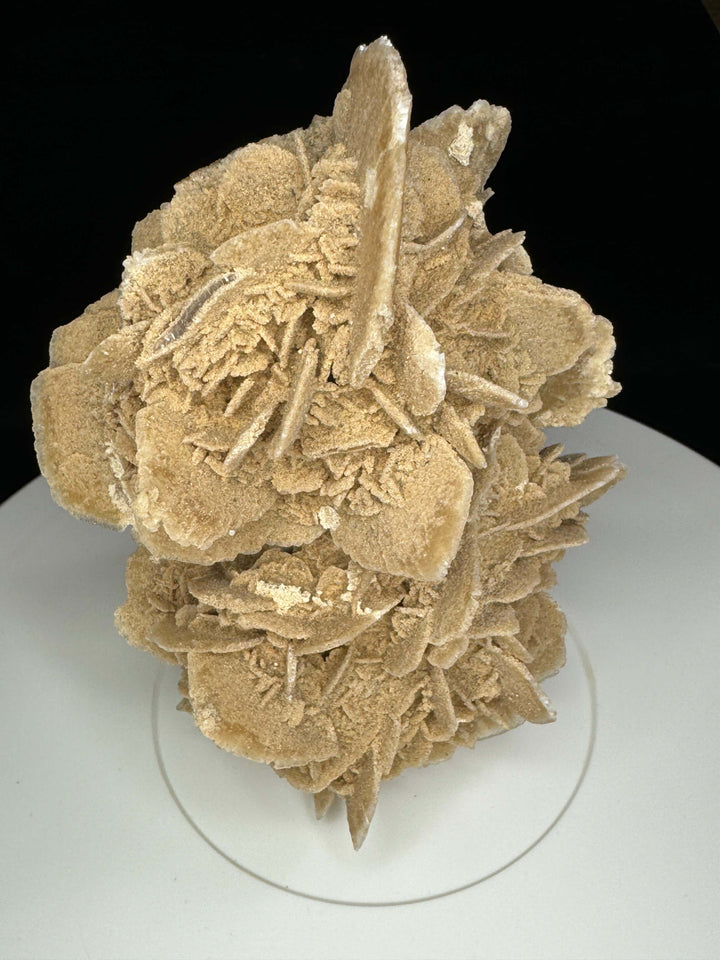 Sand Selenite Desert Rose Gypsum - Mexico