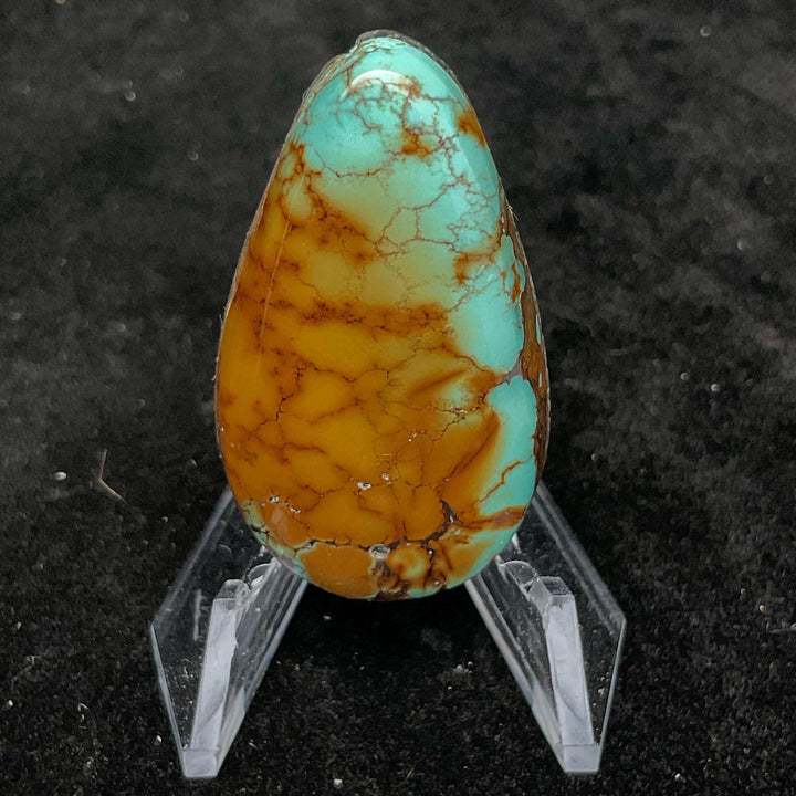 Campitos Turquoise Cabochon