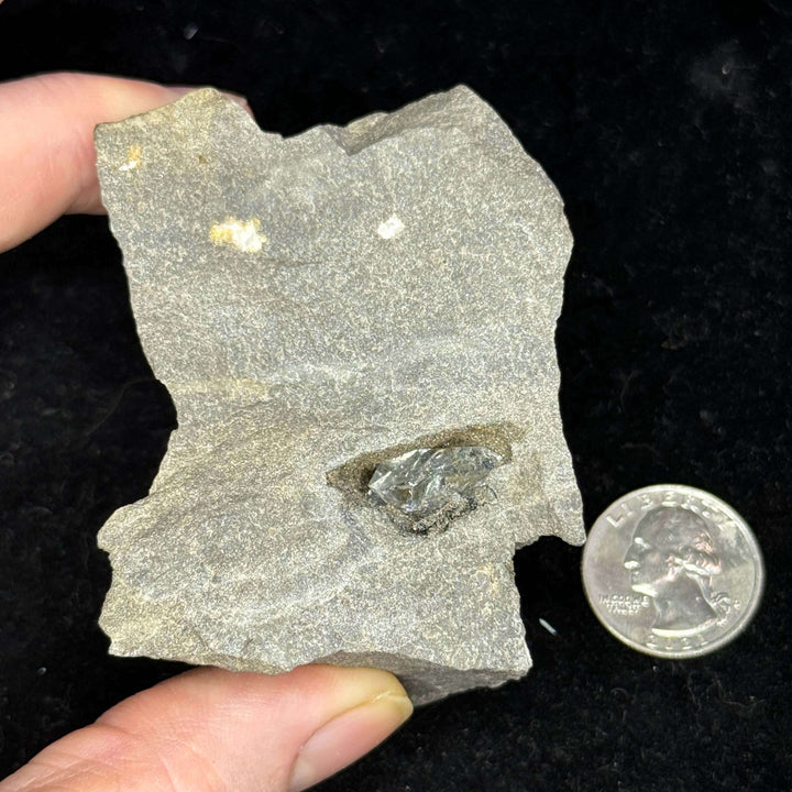 Herkimer Diamond Quartz Specimen in Matrix