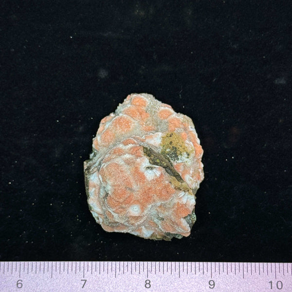 Thomsonite Specimen, India