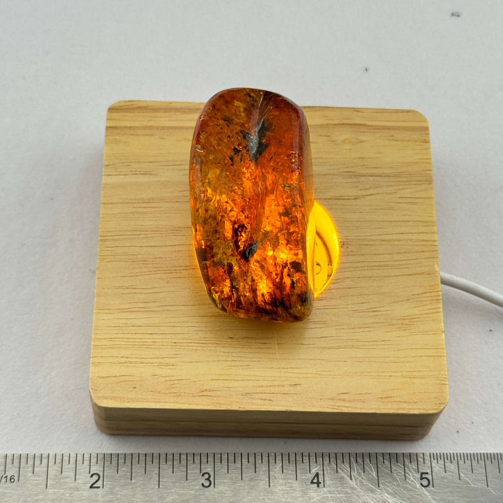 Chiapas Amber Free Form - Chiapas, Mexico