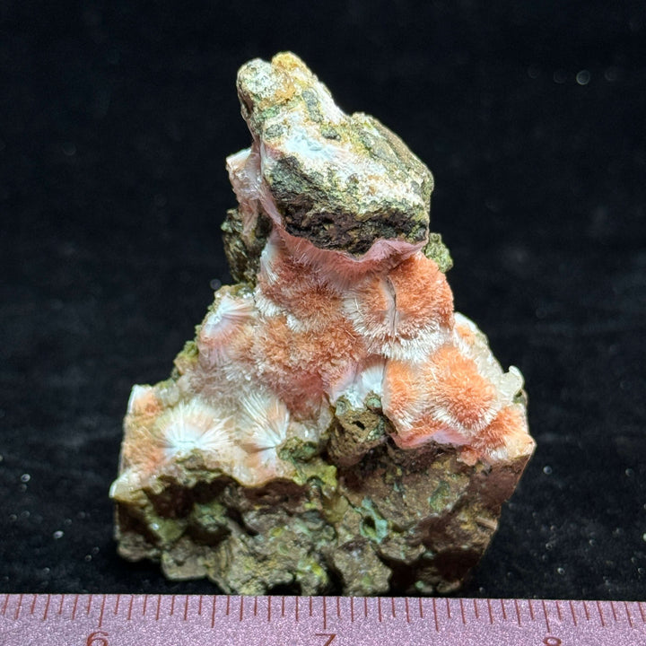 Thomsonite Specimen, India