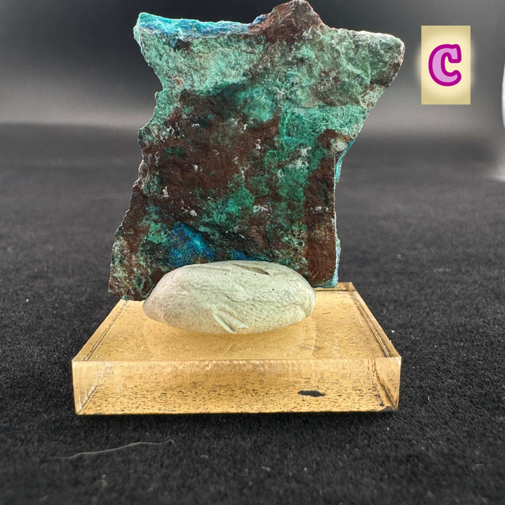 Quartz w/ Chrysocolla and Shattuckite (Small)- Milpillas, Mexico