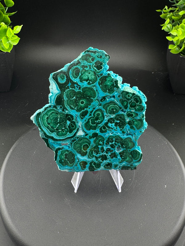 Chrysocolla and Malachite - DRC