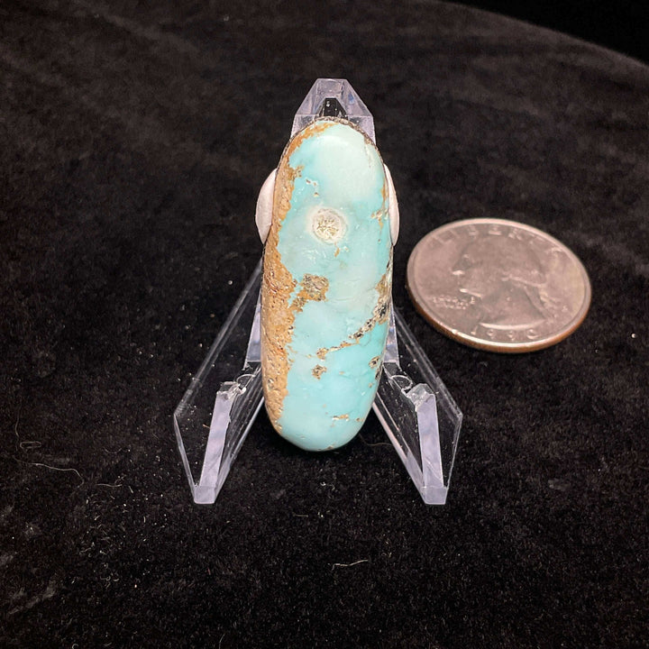 Campitos Turquoise Cabochon