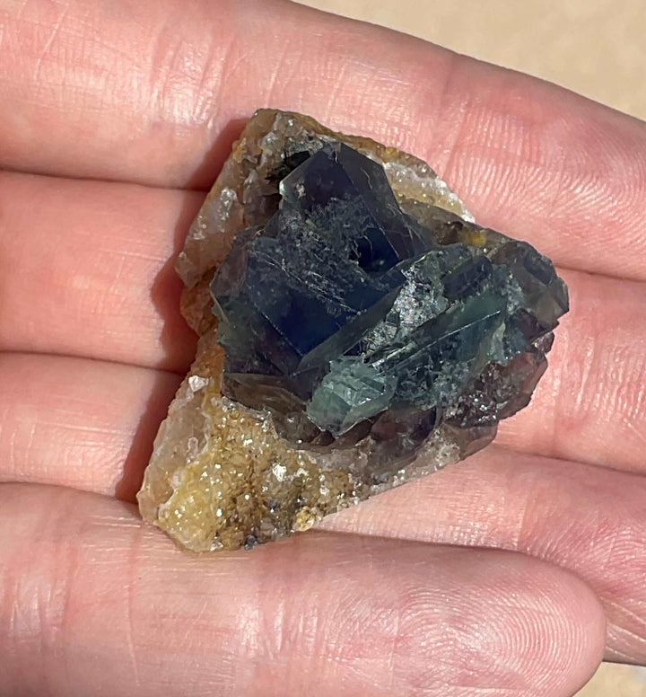 Diana Maria Fluorite - Hidden Forest Pocket (L)