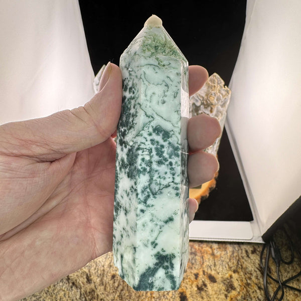 Moss Agate Tower/Point