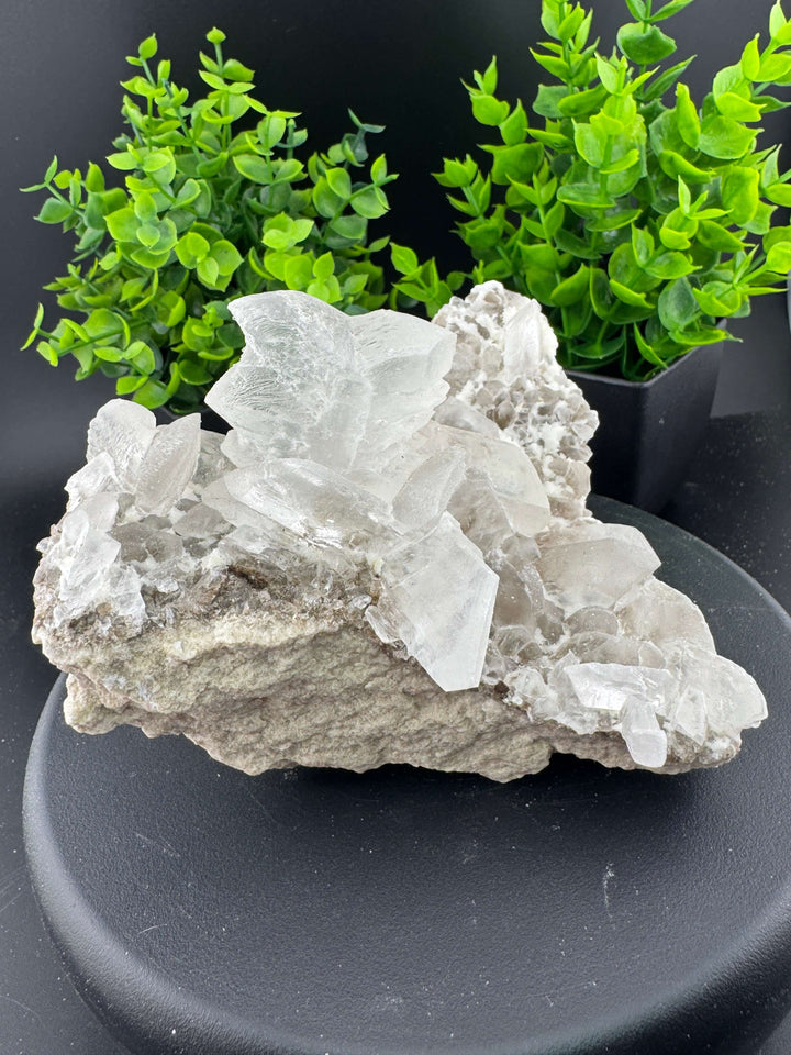 "Fishtail" Selenite /  Gypsum Specimen - Sierra Mojada, Mexico