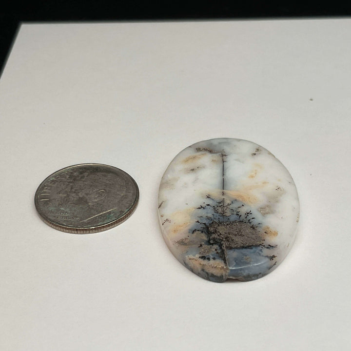 White Dendritic Opal Cabochons