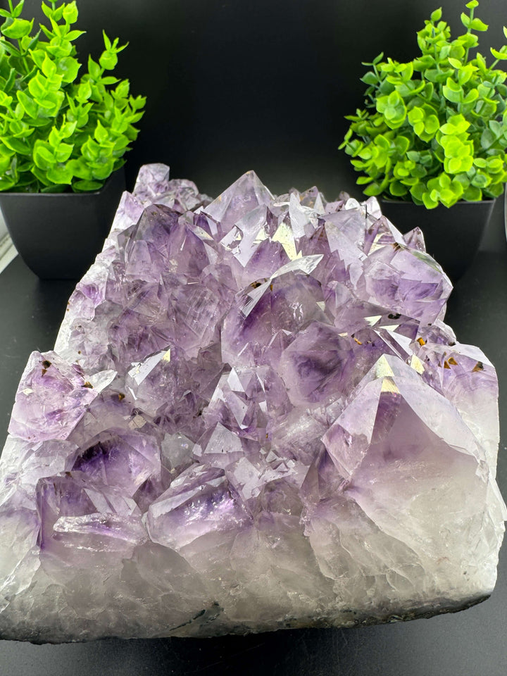 Amethyst Cluster with Golden Rutile - Brazil