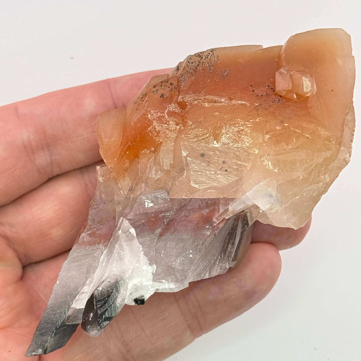 Monarch “Butterfly” Calcite - Mexico