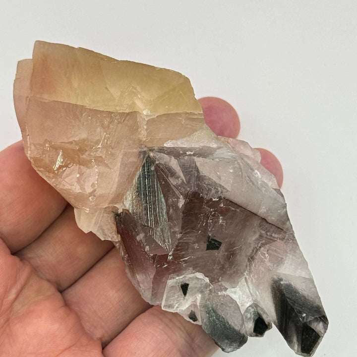 Monarch “Butterfly” Calcite - Mexico