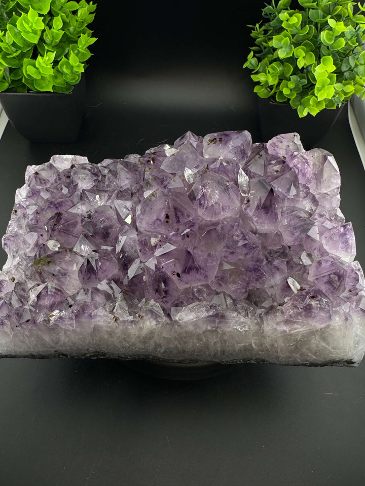 Amethyst Cluster with Rutile - Brazil