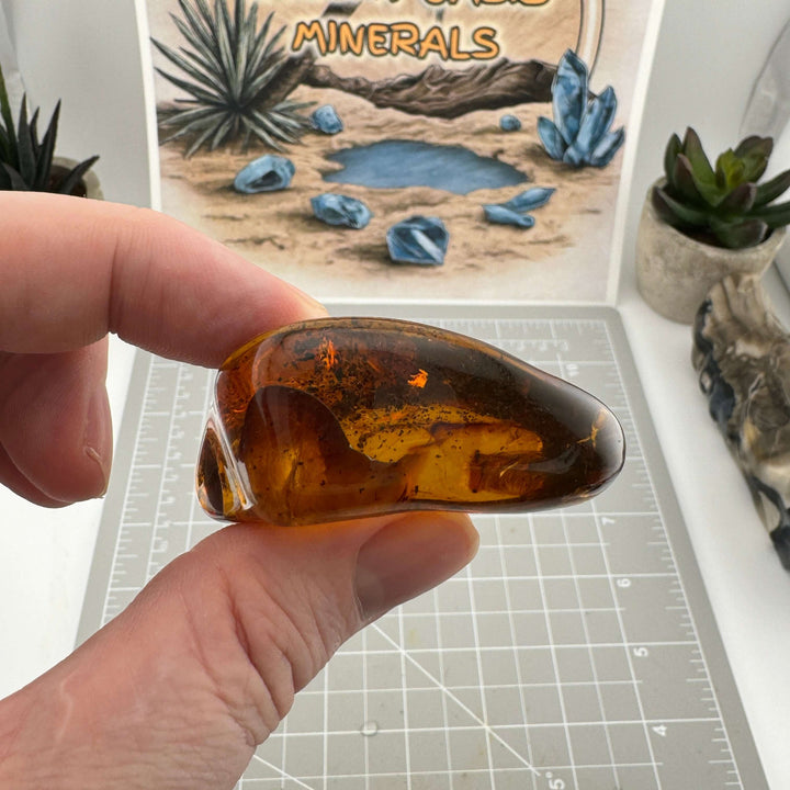 Chiapas Amber Free Form - Chiapas, Mexico