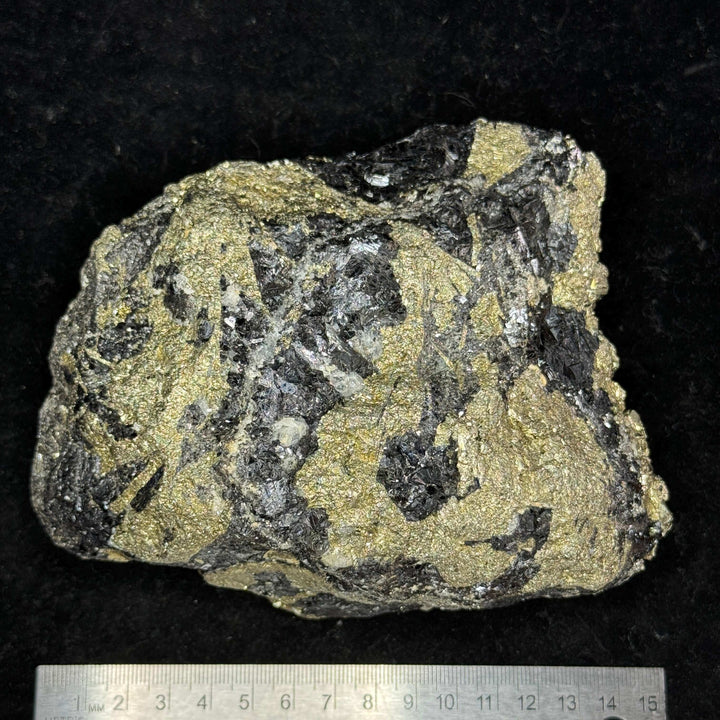 Pyrite with Schorl (Tourmaline) Specimen - Namibia