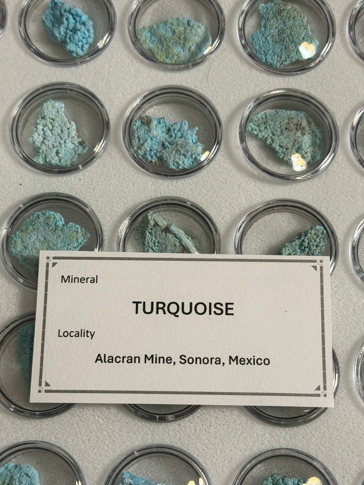 Alacran Turquoise - “Seafoam” color