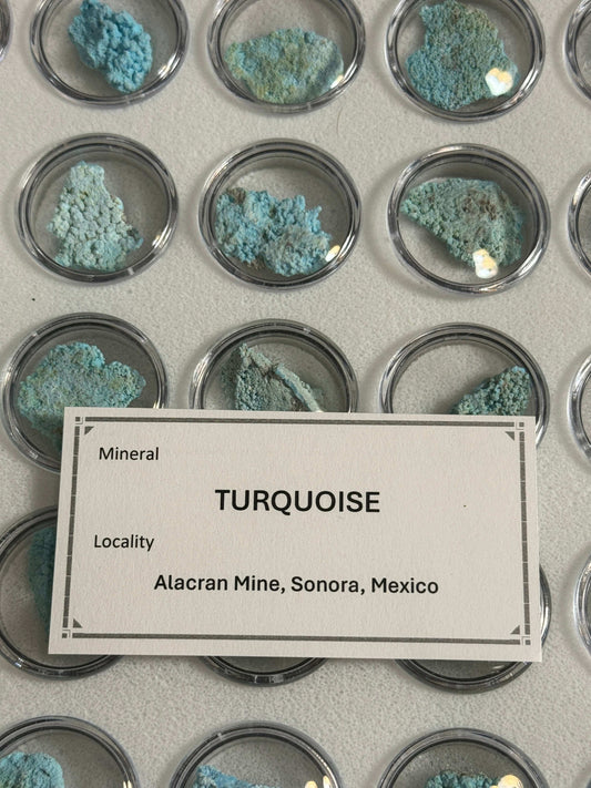 Turquoise - Alacran