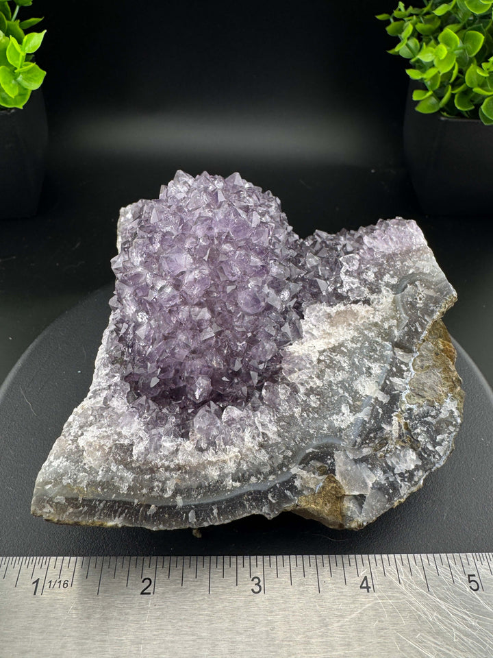 Amethyst Cluster - Uruguay