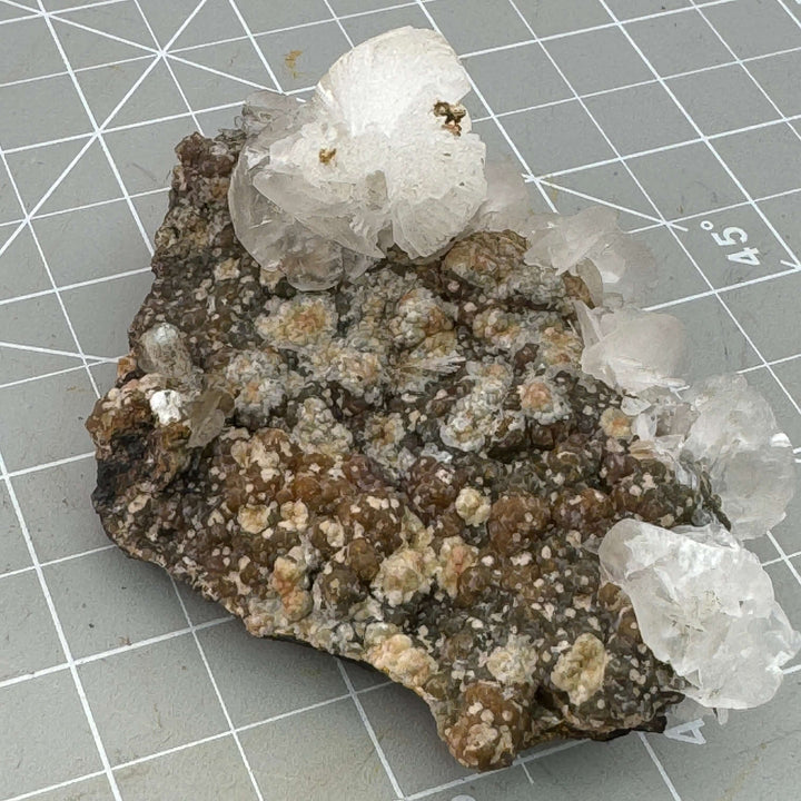 "Mouse Ear" Calcite - Mexico