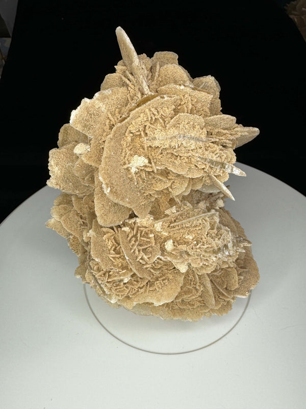 Sand Selenite Desert Rose Gypsum - Mexico