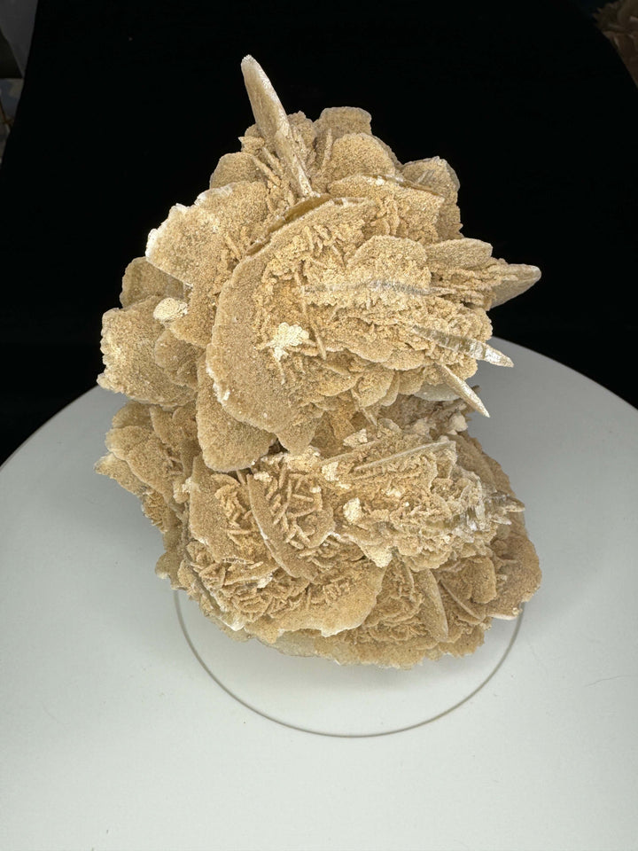Sand Selenite Desert Rose Gypsum - Mexico