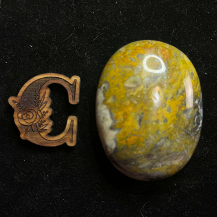 Bumblebee Jasper Palm Stone - Indonesia