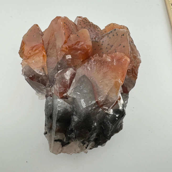 Monarch “Butterfly” Calcite - Mexico