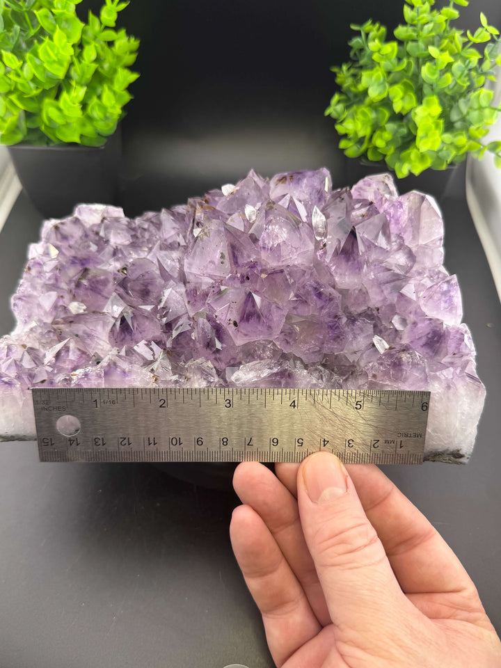 Amethyst Cluster with Golden Rutile - Brazil