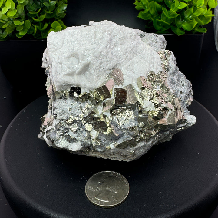 Manganese-bearing Dolomite w/ Pyrite -Durango, Mexico