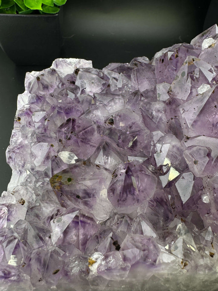 Amethyst Cluster with Golden Rutile - Brazil