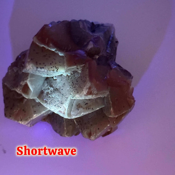 Monarch “Butterfly” Calcite - Mexico