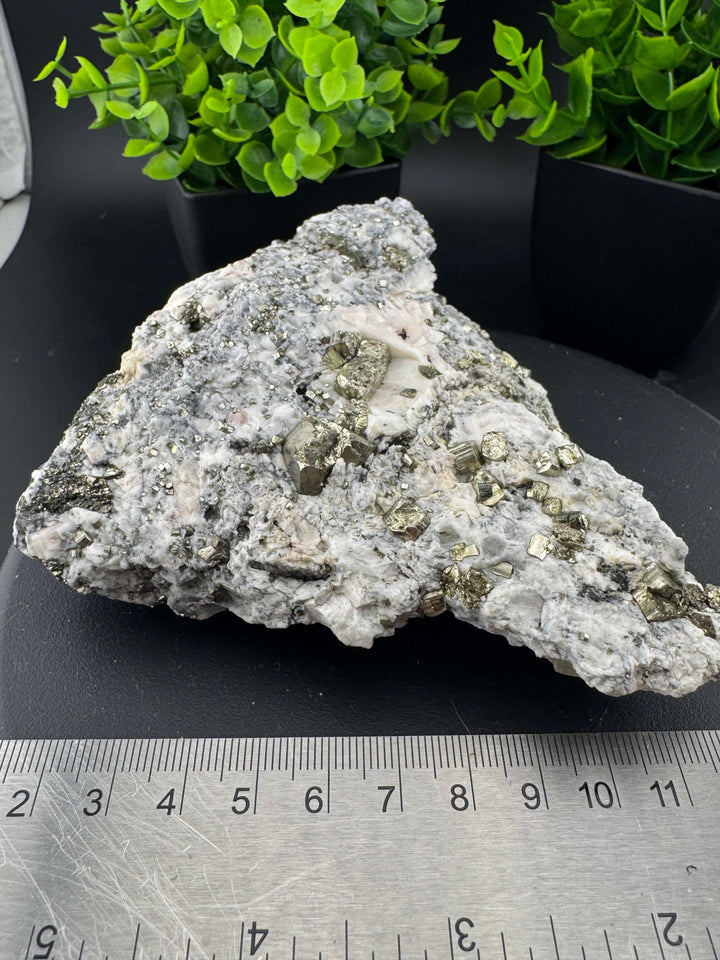 Sphalerite Pyrite Calcite Specimen - San Antonio Mine, Mexico