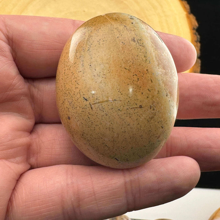 Orbicular Jasper Palm Stone