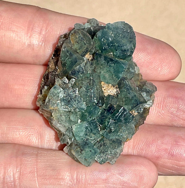 Diana Maria Fluorite - Hidden Forest Pocket (J)